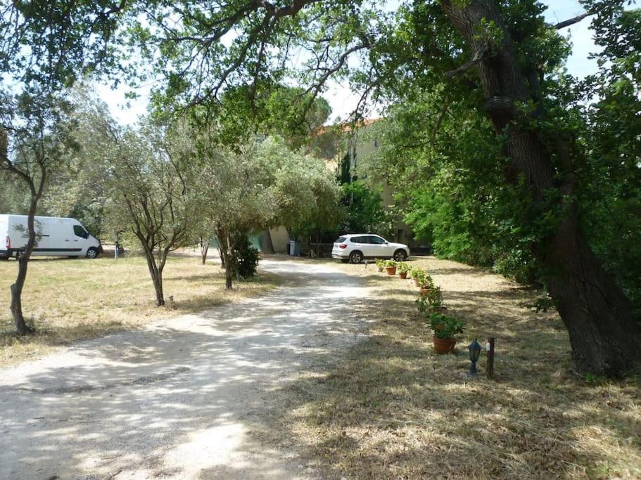 Duplex 130M2 Dans Un Mas Entoure De Vergers - Piscine Saint-Feliu-d'Avall ภายนอก รูปภาพ