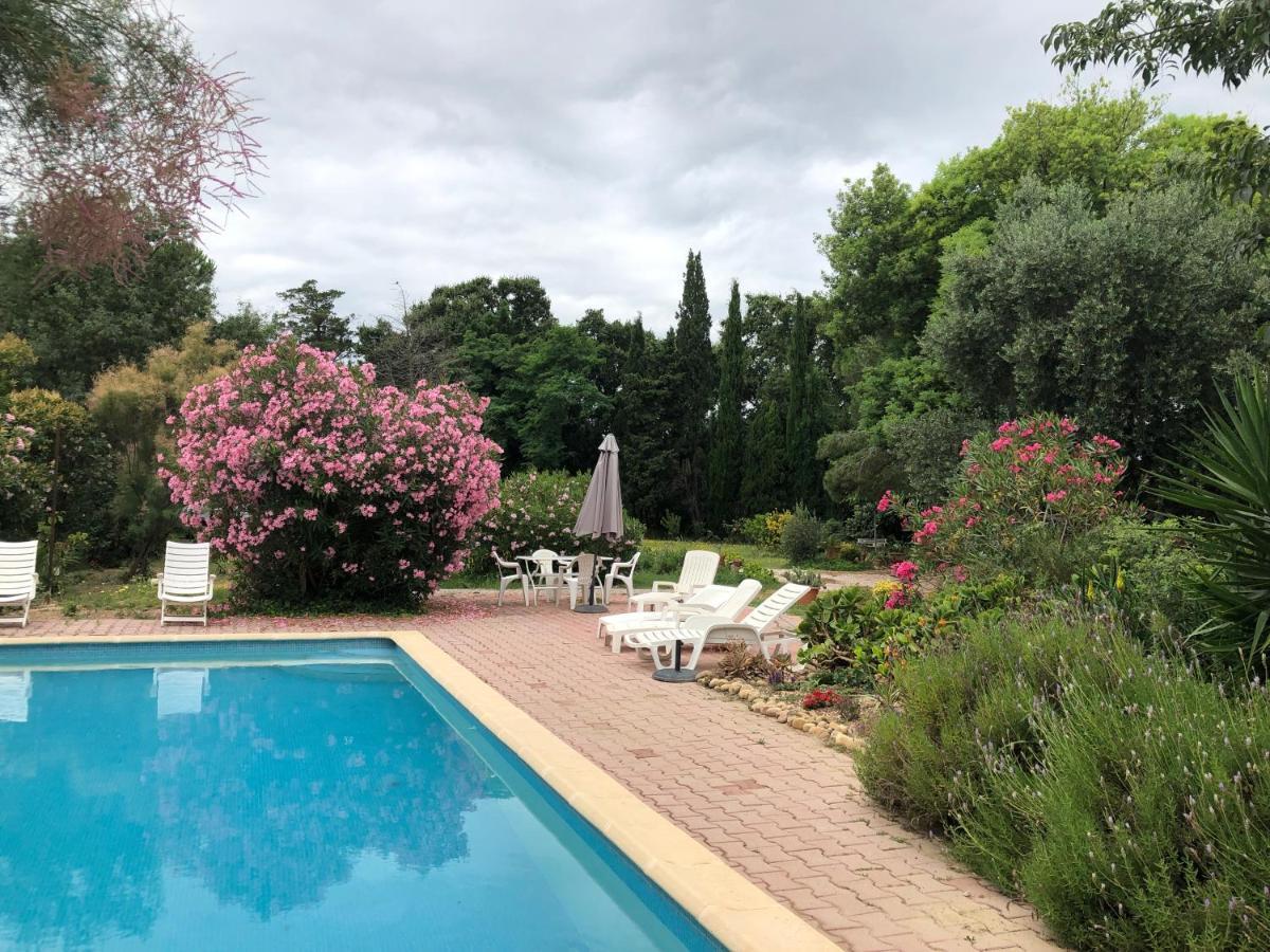 Duplex 130M2 Dans Un Mas Entoure De Vergers - Piscine Saint-Feliu-d'Avall ภายนอก รูปภาพ