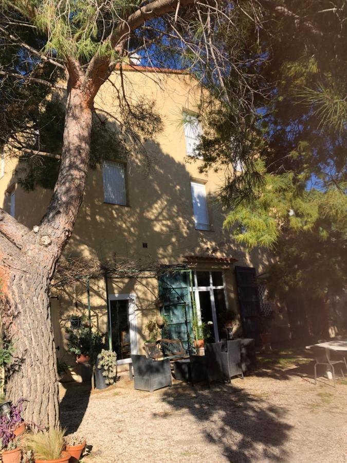 Duplex 130M2 Dans Un Mas Entoure De Vergers - Piscine Saint-Feliu-d'Avall ภายนอก รูปภาพ