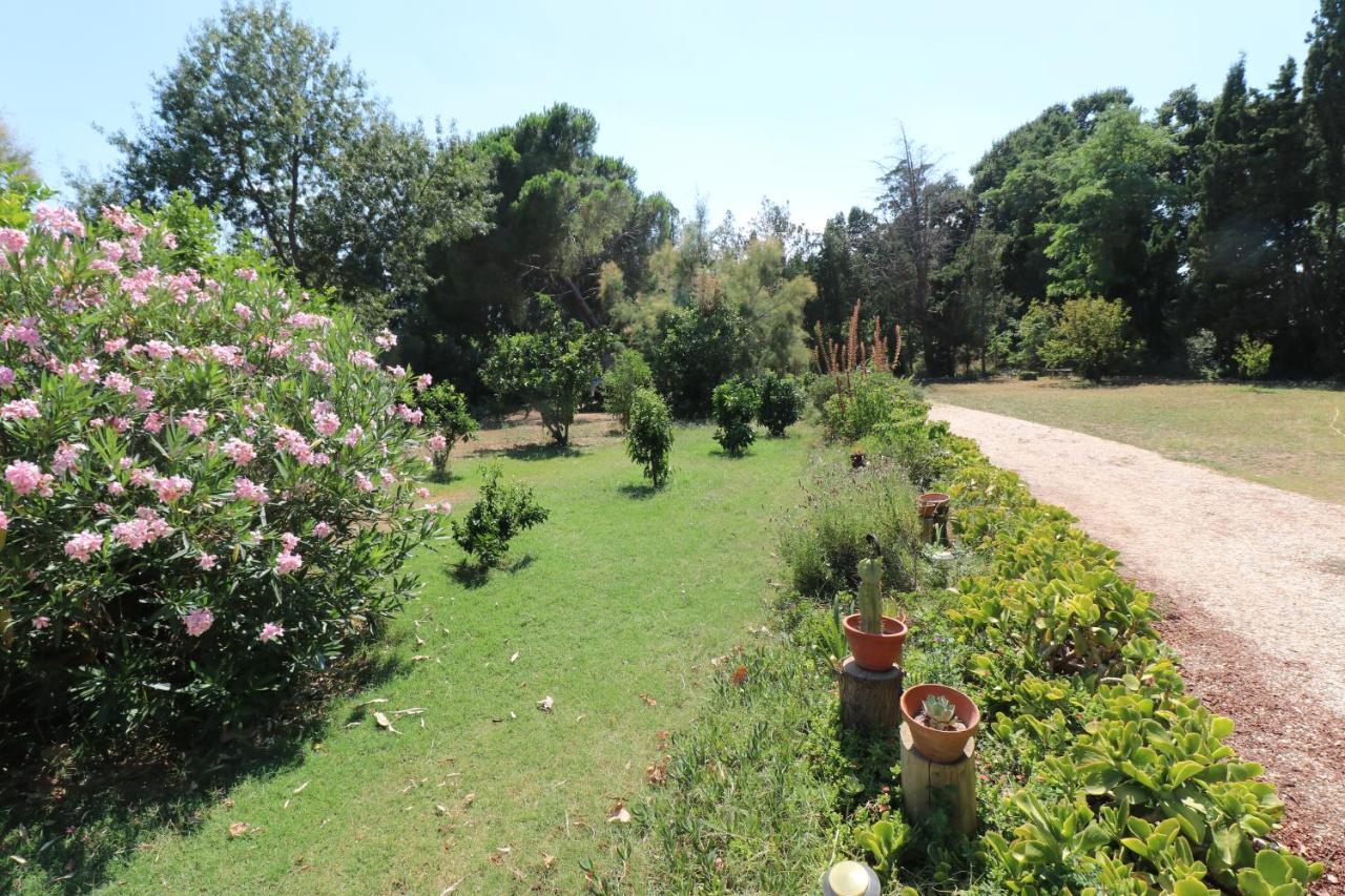 Duplex 130M2 Dans Un Mas Entoure De Vergers - Piscine Saint-Feliu-d'Avall ภายนอก รูปภาพ